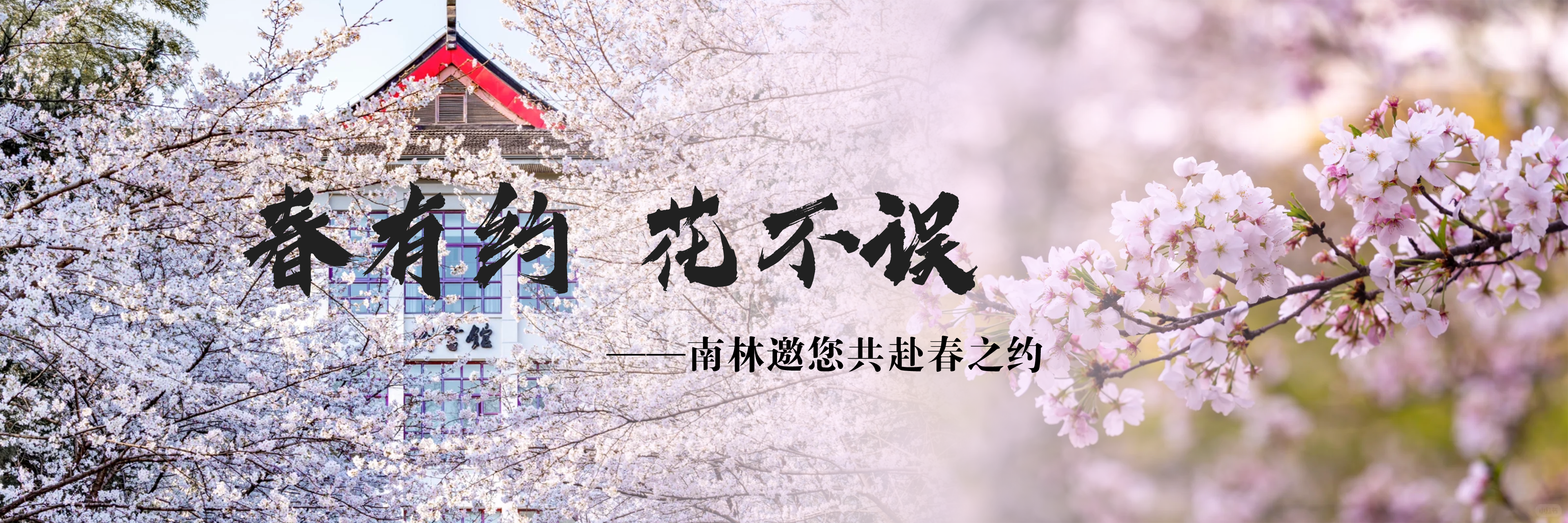 南林邀您共赴春之约！